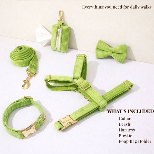 Apple Green Corduroy Set