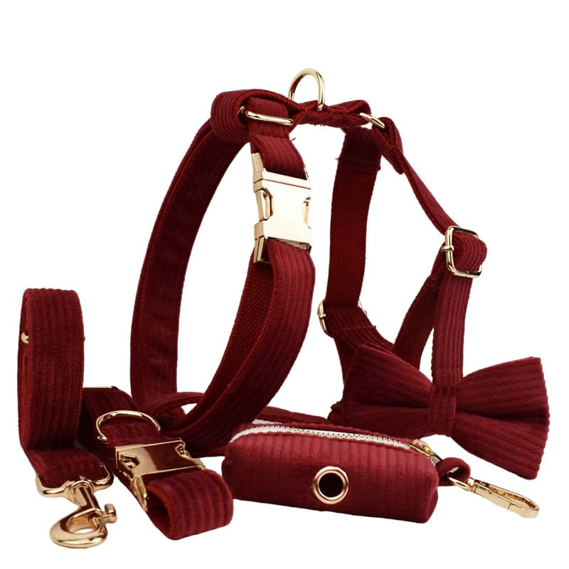 Dark Red Corduroy Set