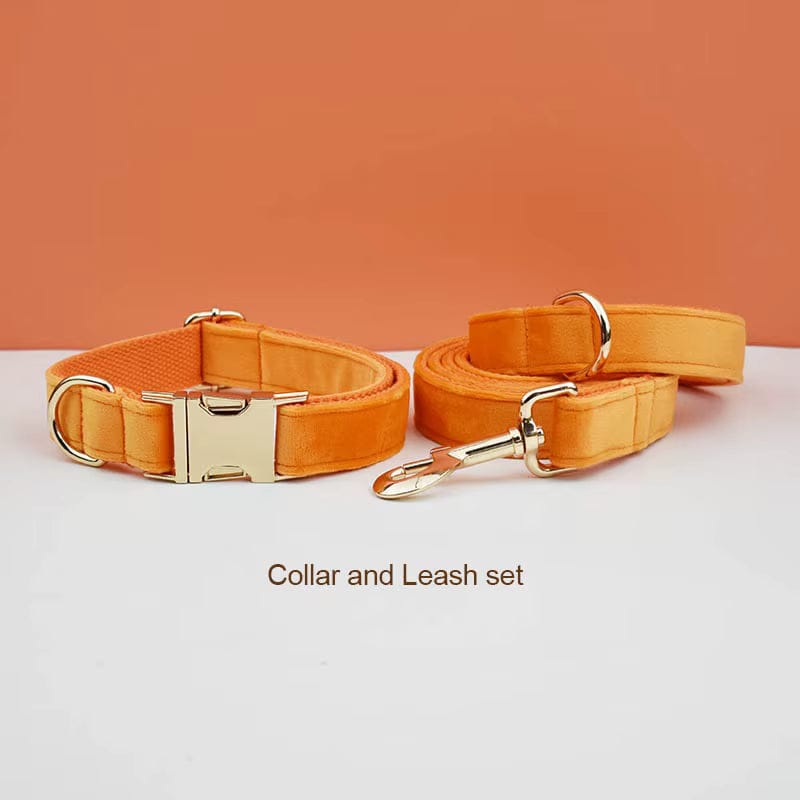 Orange Velvet Set